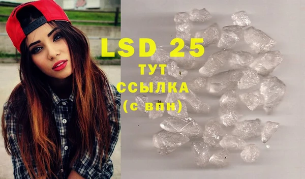 ECSTASY Магас
