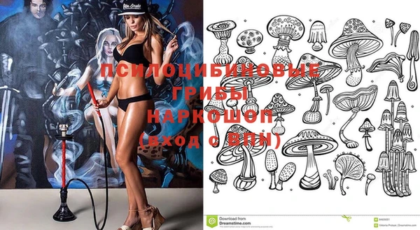 ECSTASY Магас