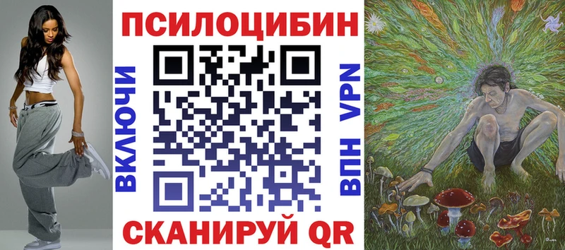 Купить где Емва Галлюциногенные грибы Psilocybine cubensis